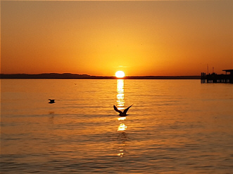 Sonnenuntergang Langenargen 9